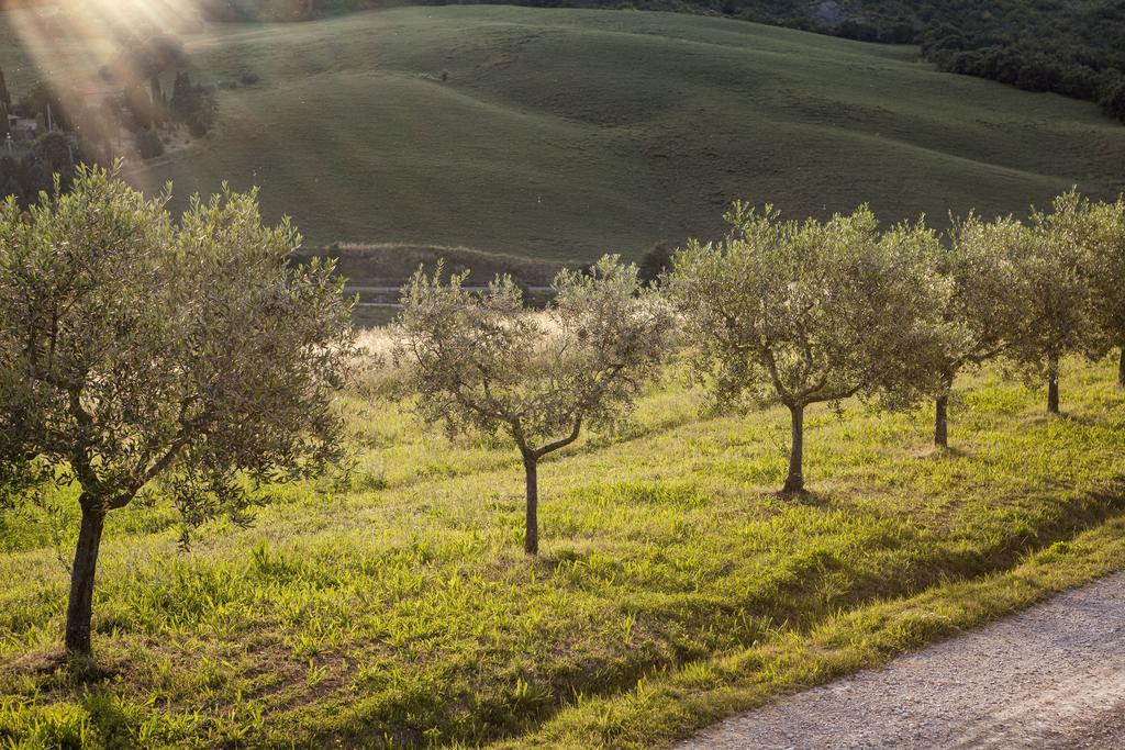 Agriturismo La Provenca Chianciano Terme Exterior photo